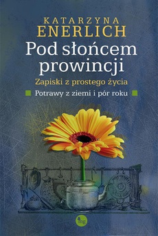 Обложка книги под заглавием:Pod słońcem prowincji