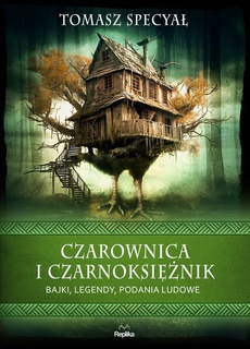 The cover of the book titled: Czarownica i czarnoksiężnik. Bajki, legendy, podania ludowe