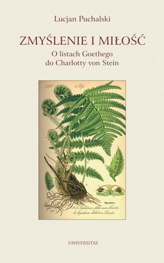 Okładka książki o tytule: Zmyślenie i miłość O listach Goethego do Charlotty von Stein