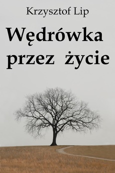The cover of the book titled: Wędrówka przez życie