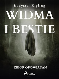 The cover of the book titled: Widma i bestie. Zbiór opowiadań