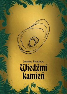 Обкладинка книги з назвою:Wiedźmi kamień