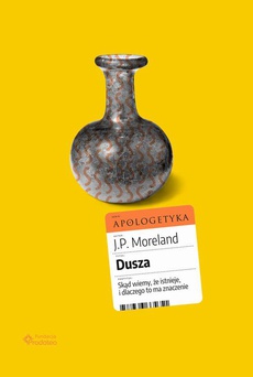 The cover of the book titled: Dusza. Skąd wiemy, że istnieje, i dlaczego to ma znaczenie