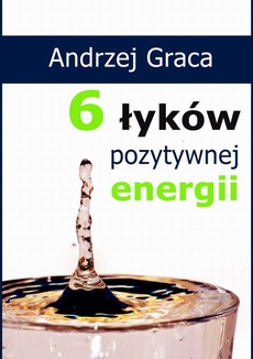 Okładka książki o tytule: 6 łyków pozytywnej energii
