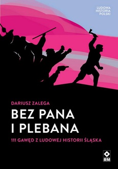 The cover of the book titled: Bez Pana i Plebana