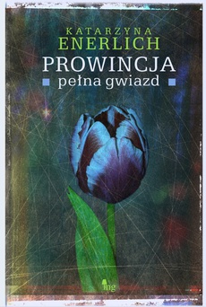 Okładka książki o tytule: Prowincja pełna gwiazd