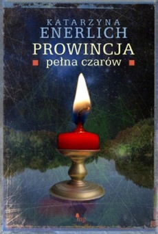 Обложка книги под заглавием:Prowincja pełna czarów