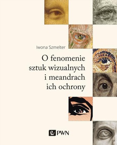 The cover of the book titled: O fenomenie sztuk wizualnych i meandrach ich ochrony