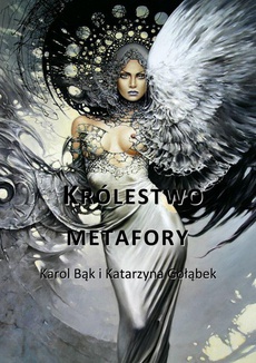 The cover of the book titled: Królestwo metafory