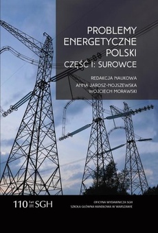 Обложка книги под заглавием:Problemy energetyczne Polski. Część I. Surowce