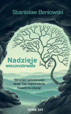 The cover of the book titled: Nadzieje wiecznotrwałe