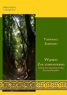 Обкладинка книги з назвою:Wyspa zaczarowana. Celtyckie podania i mity dawnej Irlandii