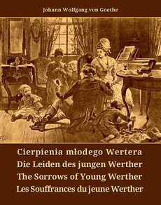 Обкладинка книги з назвою:Cierpienia młodego Wertera