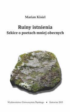 The cover of the book titled: Ruiny istnienia