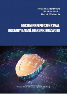 The cover of the book titled: Odcienie bezpieczeństwa. Obszary badań, kierunki rozwoju