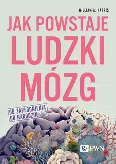 The cover of the book titled: Jak powstaje ludzki mózg Od zapłodnienia do narodzin