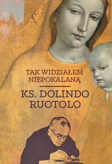 The cover of the book titled: Tak widziałem Niepokalaną