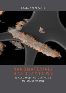 Обкладинка книги з назвою:Nanomateriały haloizytowe w adsorpcji i fotokatalizie heterogenicznej