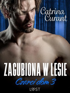 The cover of the book titled: Czarci dom 3: Zagubiona w lesie – seria erotyczna