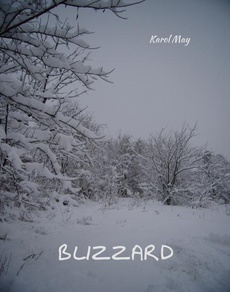 Okładka książki o tytule: Blizzard