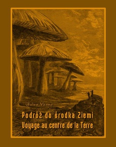 Okładka książki o tytule: Podróż do środka Ziemi. Voyage au centre de la Terre