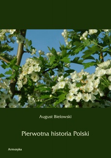 Okładka książki o tytule: Pierwotna historia Polski