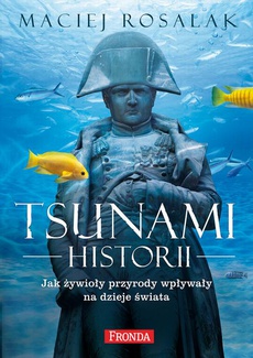 The cover of the book titled: Tsunami Historii