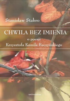 The cover of the book titled: Chwila bez imienia. O poezji Krzysztofa Kamila Baczyńskiego
