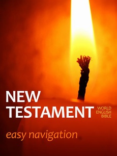 Обложка книги под заглавием:New Testament