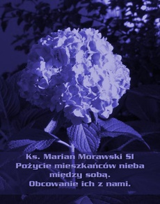The cover of the book titled: Pożycie mieszkańców nieba między sobą. Obcowanie ich z nami.