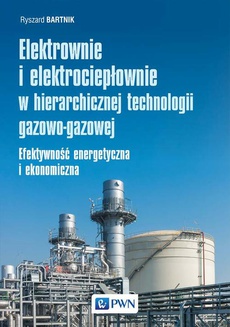The cover of the book titled: Elektrownie i elektrociepłownie w hierarchicznej technologii gazowo-gazowej
