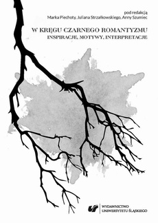 The cover of the book titled: W kręgu czarnego romantyzmu. Inspiracje, motywy, interpretacje