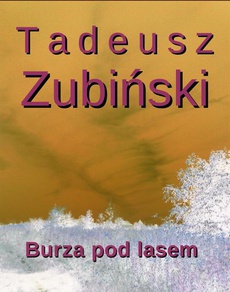 Обкладинка книги з назвою:Burza pod lasem