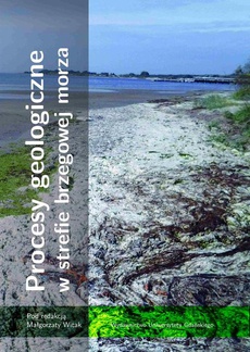 Okładka książki o tytule: Procesy geologiczne w strefie brzegowej morza