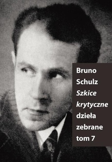Обложка книги под заглавием:Szkice Krytyczne