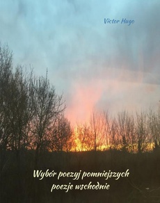 The cover of the book titled: Wybór poezyj pomniejszych. Poezje wschodnie
