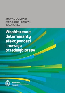 Обложка книги под заглавием:Współczesne determinanty efektywności i rozwoju przedsiębiorstw