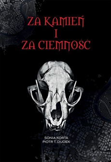 Okładka książki o tytule: Za kamień i za ciemność