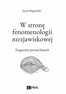 Обложка книги под заглавием:W stronę fenomenologii niezjawiskowej. Fragmenty pewnej historii