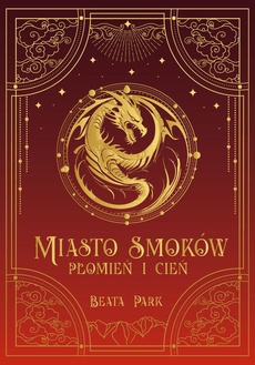 Обложка книги под заглавием:Miasto smoków. Płomień i cień
