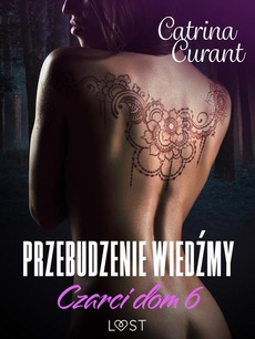 The cover of the book titled: Czarci dom 6: Przebudzenie wiedźmy – seria erotyczna