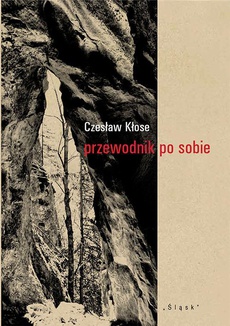 The cover of the book titled: Przewodnik po sobie