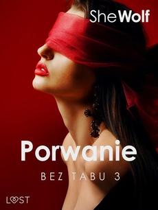 The cover of the book titled: Bez Tabu 3: Porwanie – seria erotyczna