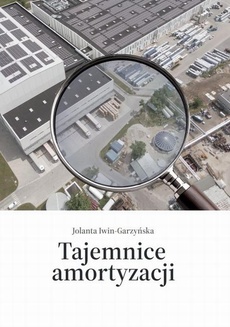 Okładka książki o tytule: Tajemnice amortyzacji