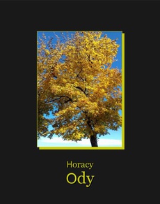 Обкладинка книги з назвою:Ody