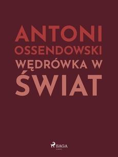 The cover of the book titled: Wędrówka w świat