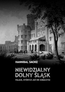 The cover of the book titled: Niewidzialny Dolny Śląsk Pałace, których już nie zobaczysz
