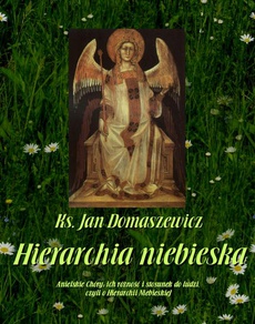 The cover of the book titled: Hierarchia niebieska
