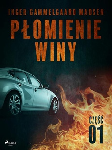The cover of the book titled: Płomienie winy: część 1