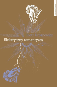 Okładka książki o tytule: Elektryczny romantyzm